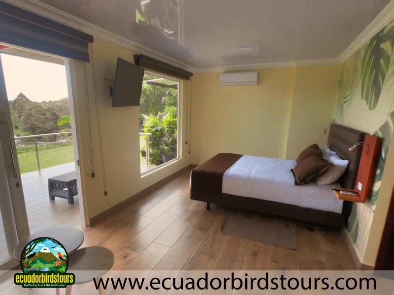 ojo de agua room birding lodges (1)
