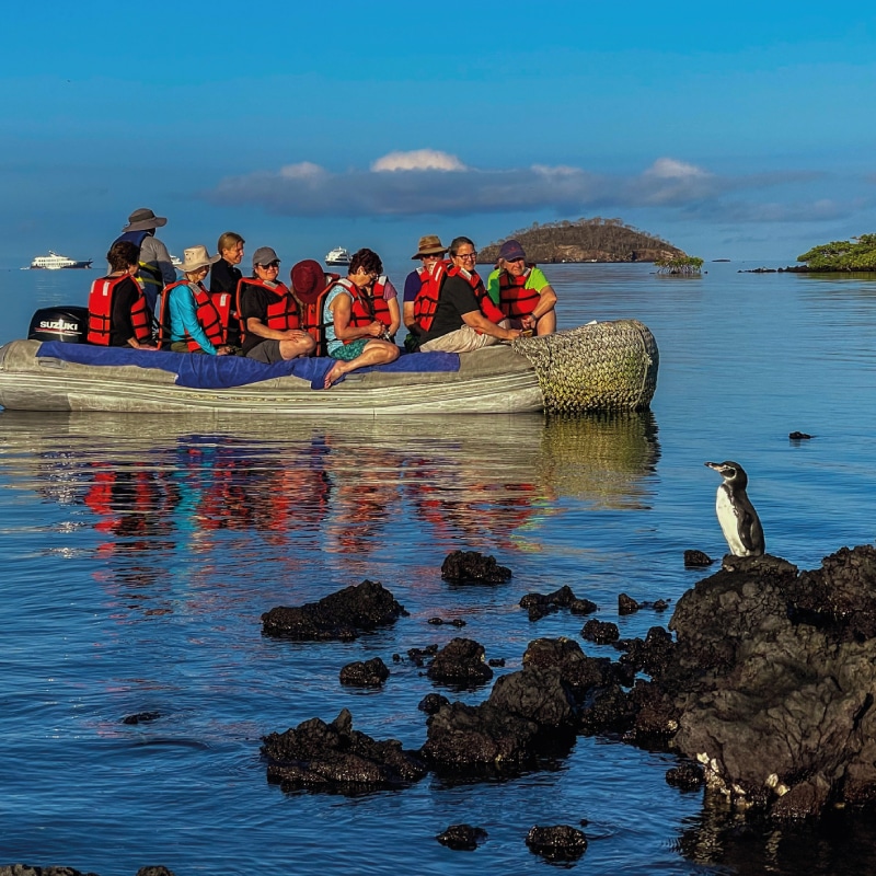 orion cruise galapagos by ecuador birds tours (3)