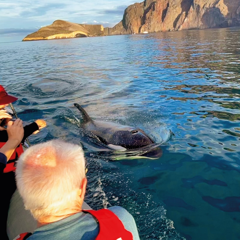 orion cruise galapagos by ecuador birds tours (4)