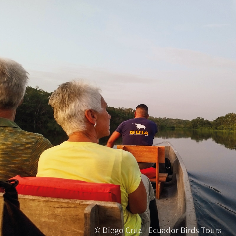 sacha amazon lodge by ecuador birds tours (15)