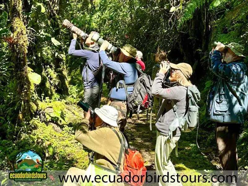 sacha amazon lodge by ecuador birds tours 2 5f7912c7