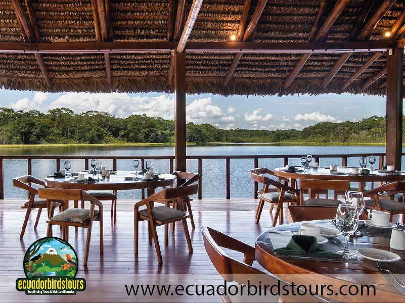 sacha amazon lodge by ecuador birds tours 36