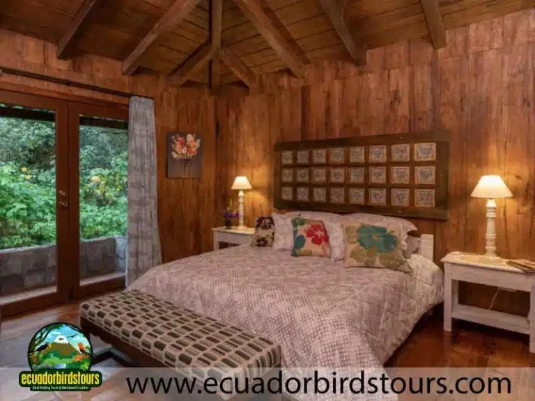 sachatamia lodge by ecuador birds tours f63597ca