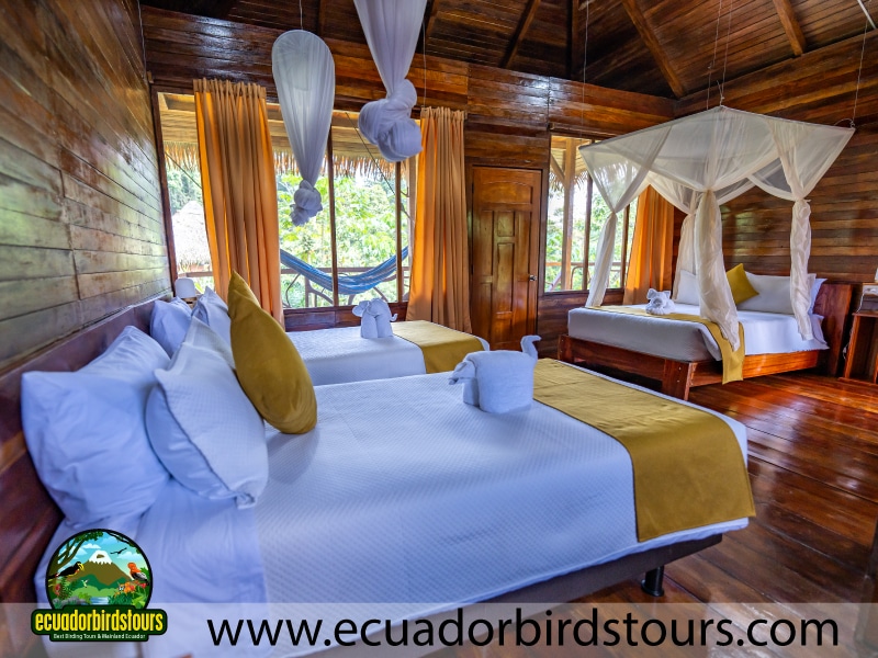 sani lodge birding lodges