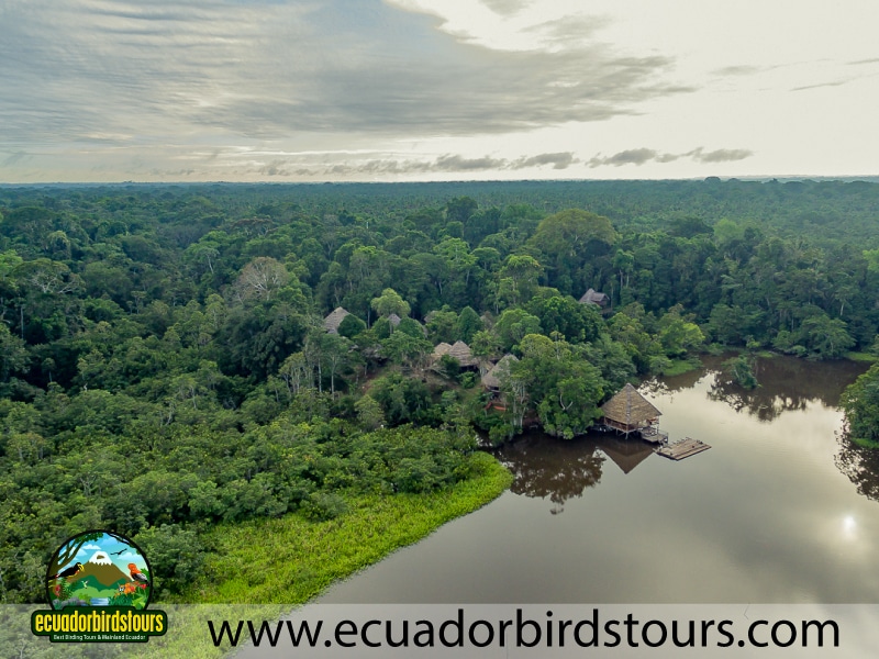 sani lodge drone birding lodges