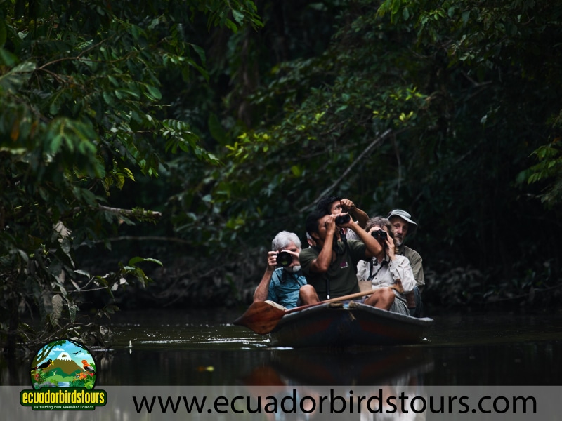 sani paddle canoe birding lodges