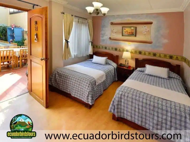 southern birding photography tour by ecuador birds tours cuenca 01abb14c