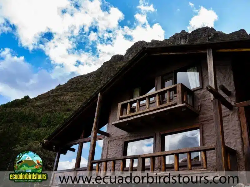 southern birding photography tour by ecuador birds tours dos chorreras b4b3d9ad