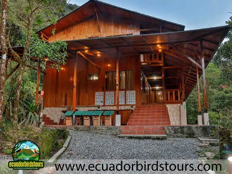 southern birding photography tour by ecuador birds tours 13 241e60c1