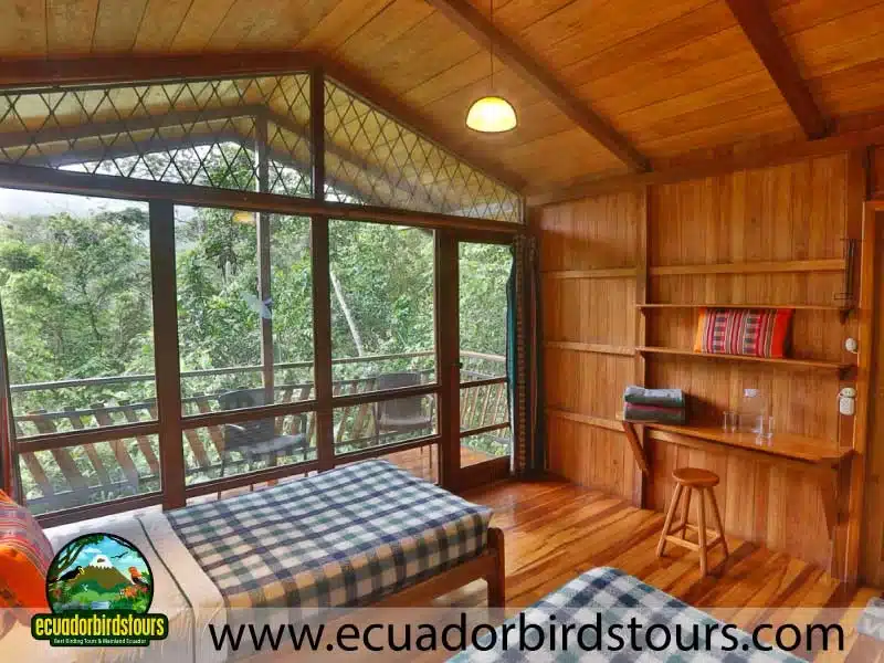 southern birding photography tour by ecuador birds tours 36 5ec53d38