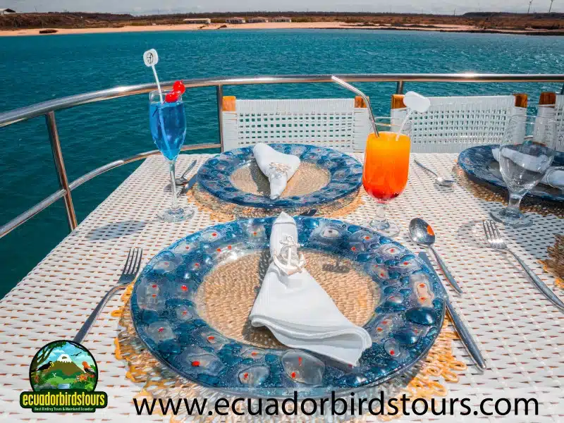 sun deck alya cruise galapagos promotions by ecuador birds tours fb3dee68