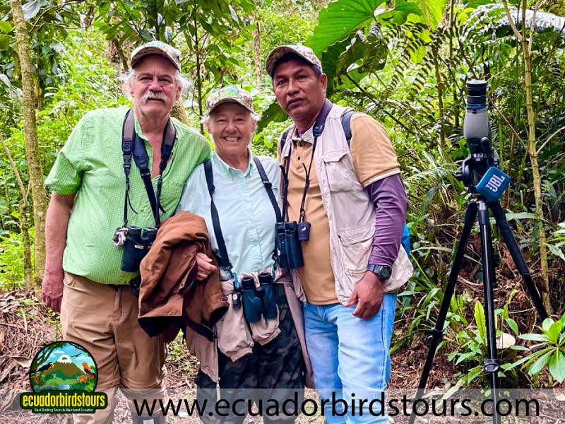 tailor made birding photography tours in ecuador 45