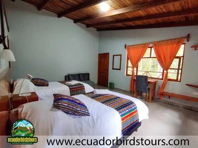 tailor made birding photography tours in ecuador 18 779dfce8