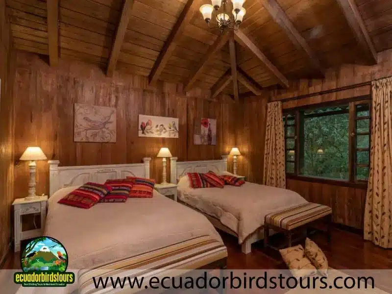 tailor made birding photography tours in ecuador 19 0ee9d27a