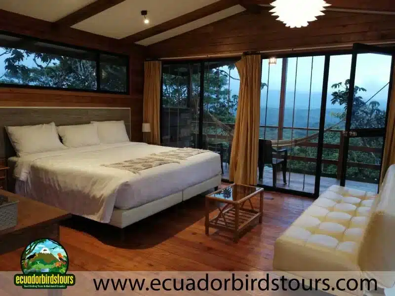 tailor made birding photography tours in ecuador 20 11e4bc52