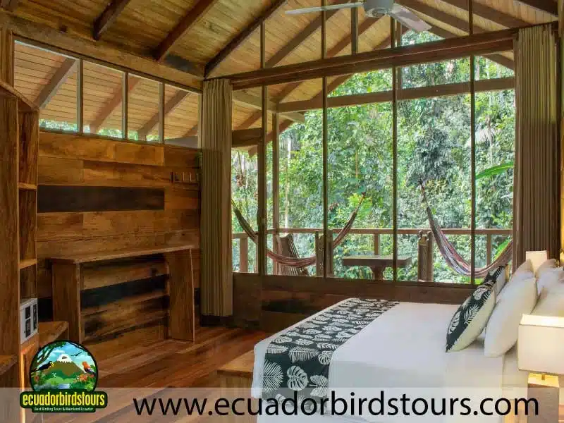 tailor made birding photography tours in ecuador 21 447cb055 (1)