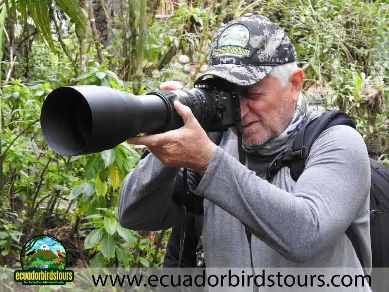 yanacocha full day by ecuador birds tours 18 77878cc6