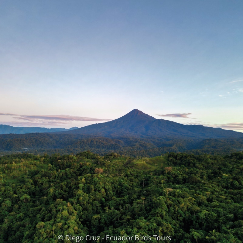 best birding lodges in ecuador by ecuador birds tours (5)