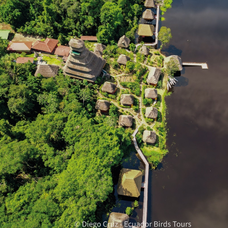 best birding lodges in ecuador by ecuador birds tours (6)