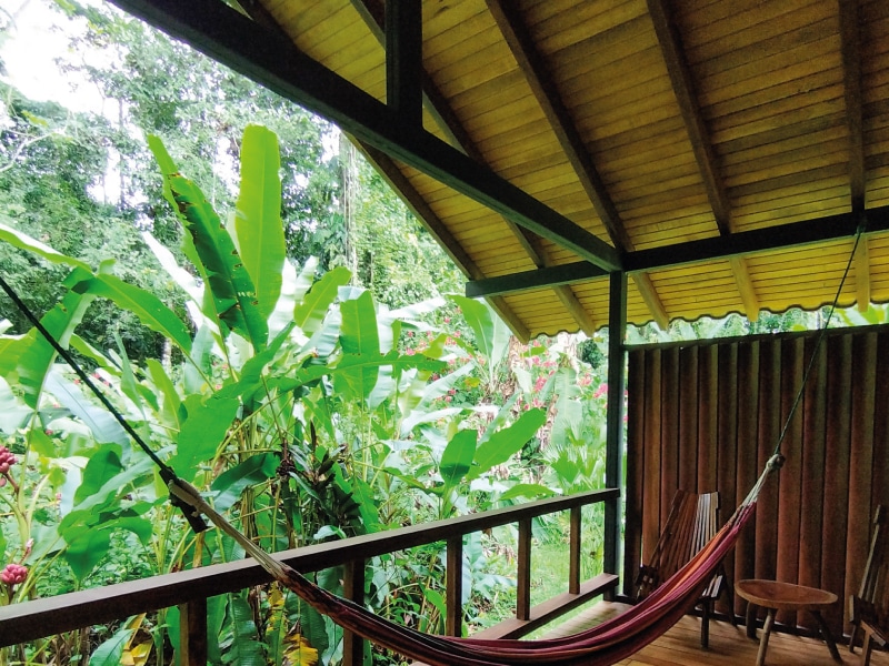 birding lodges in ecuador by ecuador birds tours (22)