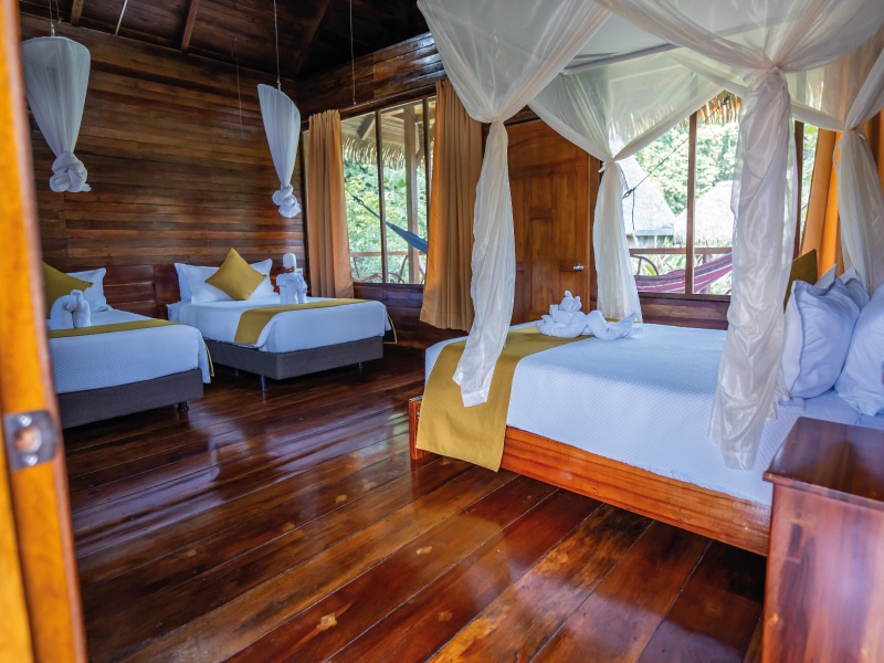 birding lodges in ecuador by ecuador birds tours (23)