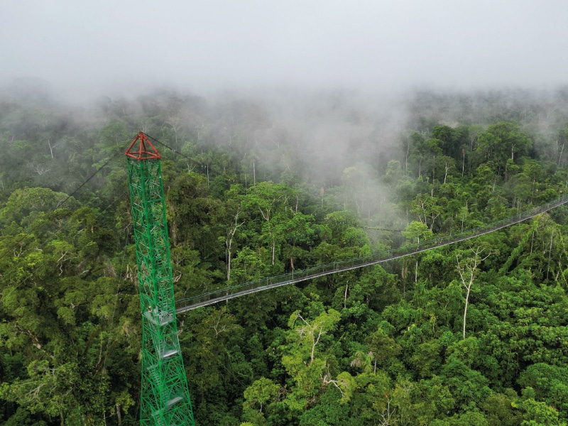 birding lodges in ecuador by ecuador birds tours (25)