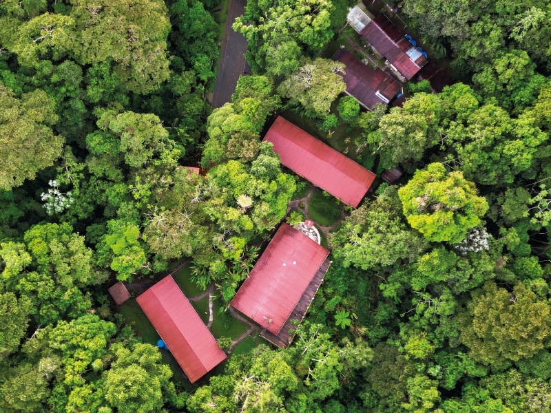 birding lodges in ecuador by ecuador birds tours (32)