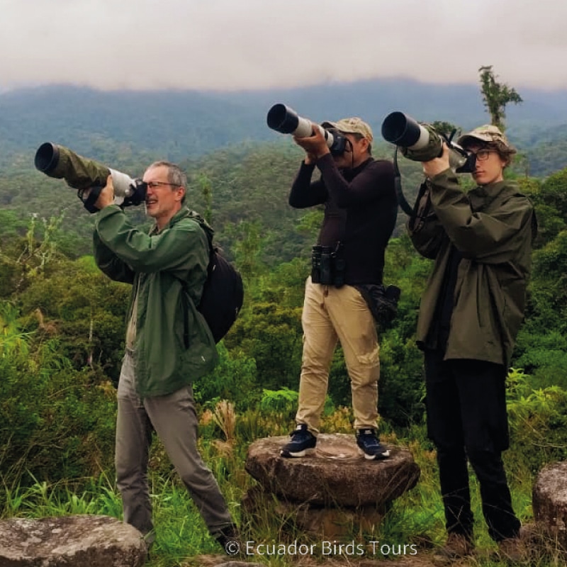 birding photography clients by ecuador birds tours (7)