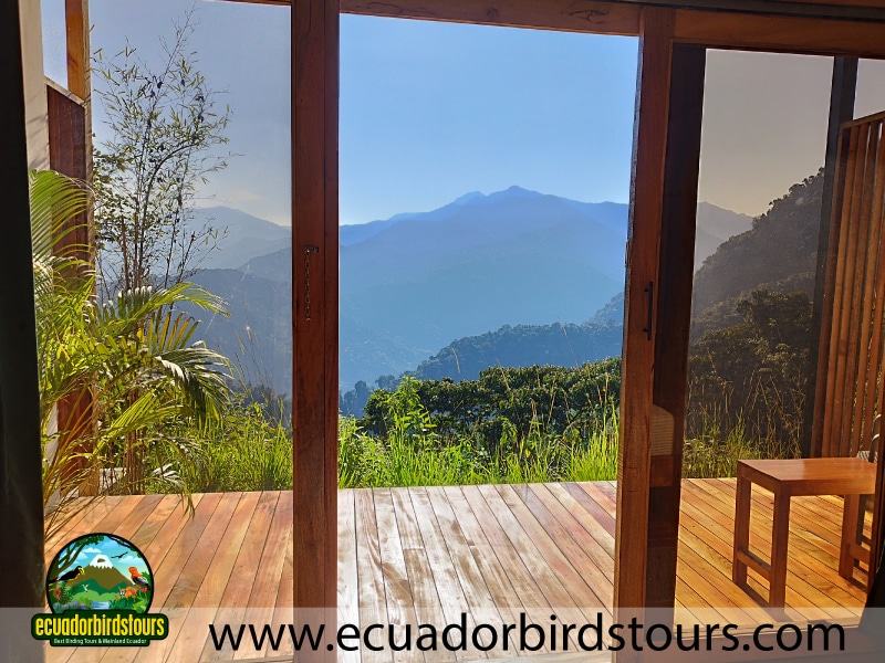 guaycapi balcony room