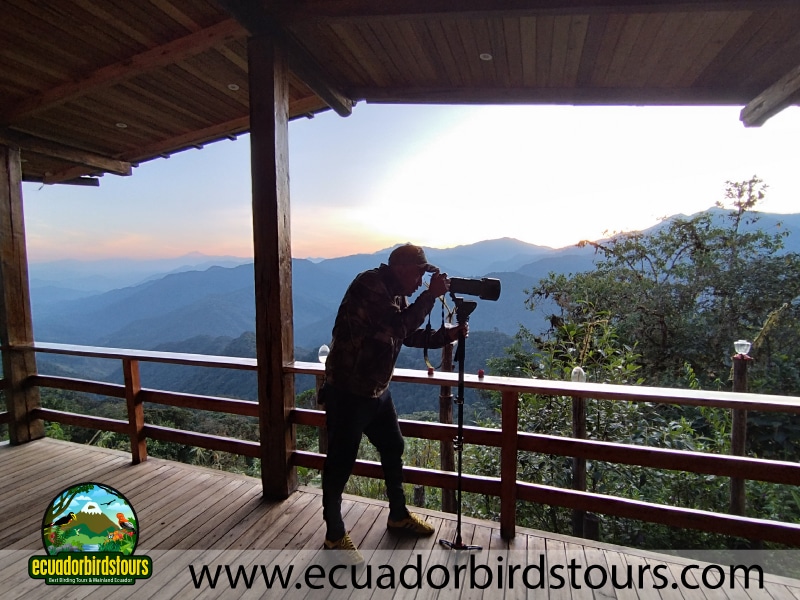 guaycapi lodge deck birding lodges