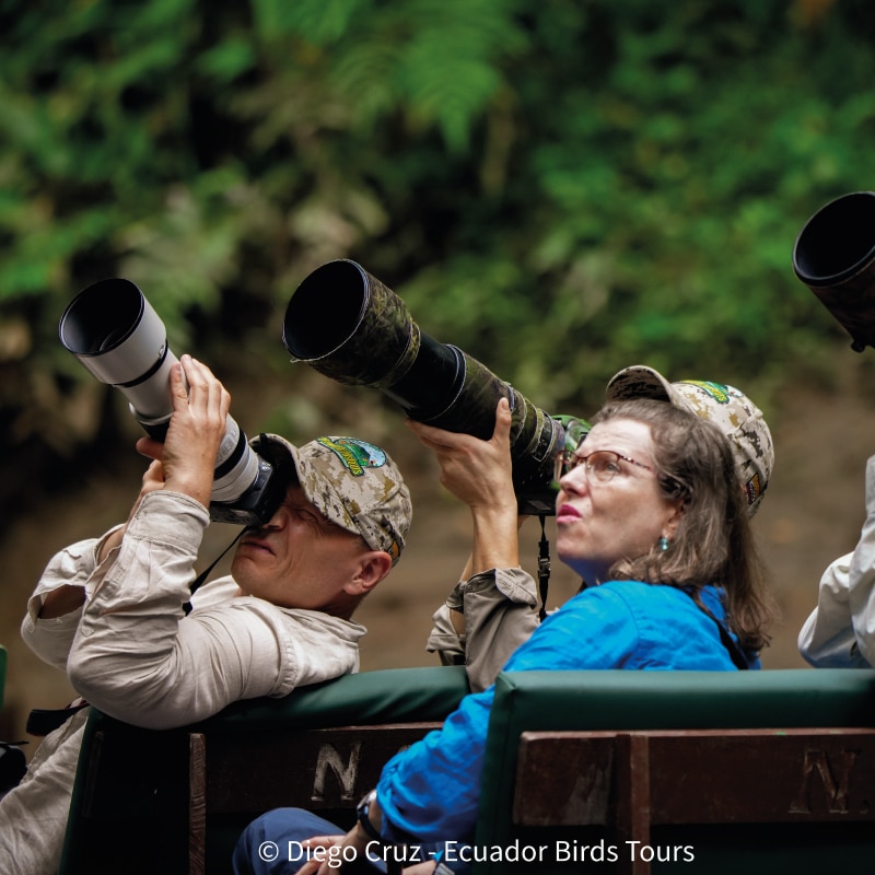 why ecuador birds tours and photography in ecuador (1)