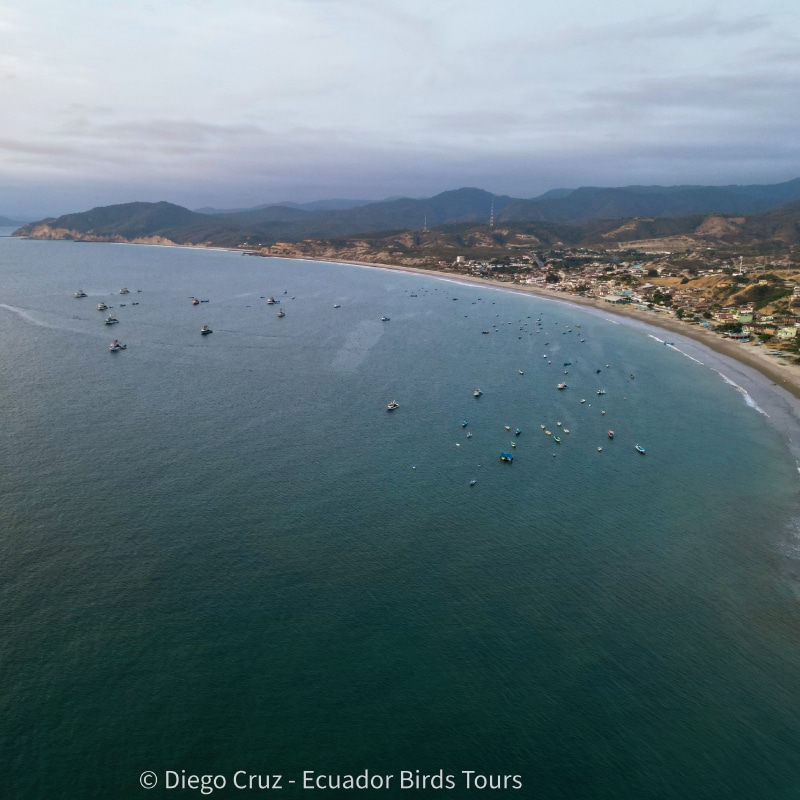 wildlife photography tours in ecuador by ecuador birds tours (1)