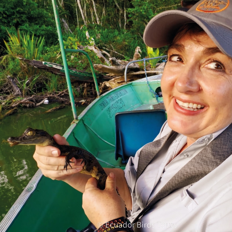 birding photography tour in ecuador by ecuador birds tours (2)