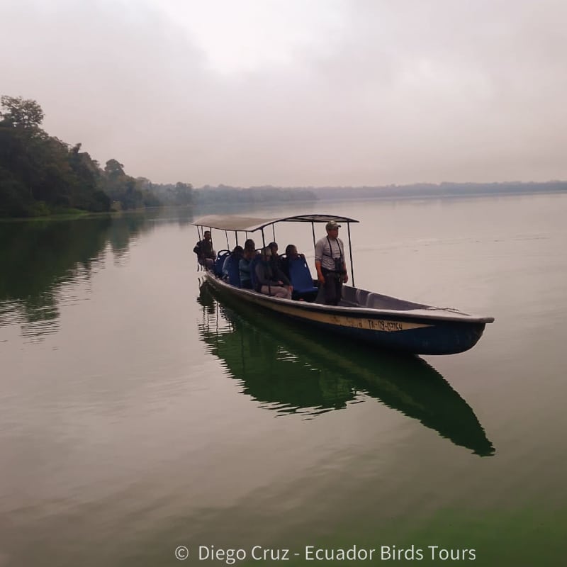 custom birding photography tours in ecuador by ecuador birds tours (24)