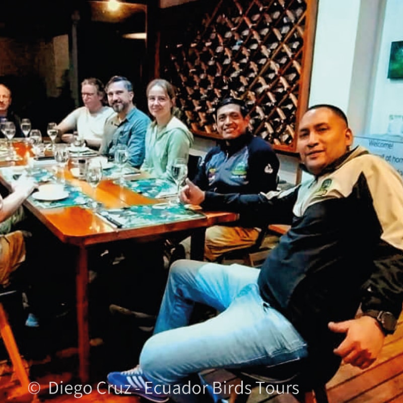 custom birding photography tours in ecuador by ecuador birds tours (26)