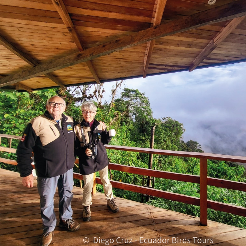 custom birding photography tours in ecuador by ecuador birds tours (27)