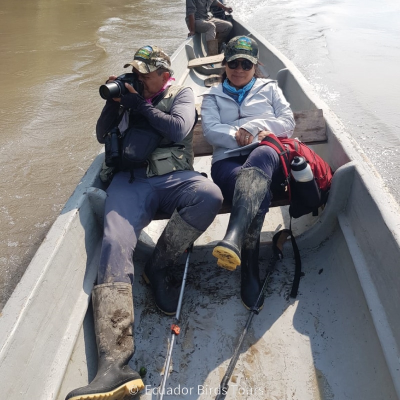 custom birding photography tours in ecuador by ecuador birds tours (34)