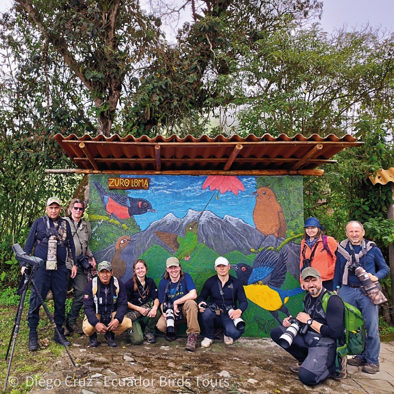 custom birding photography tours in ecuador by ecuador birds tours (7)