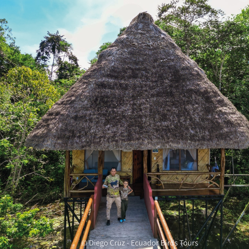 ecuador birds tours in ecuador (2)