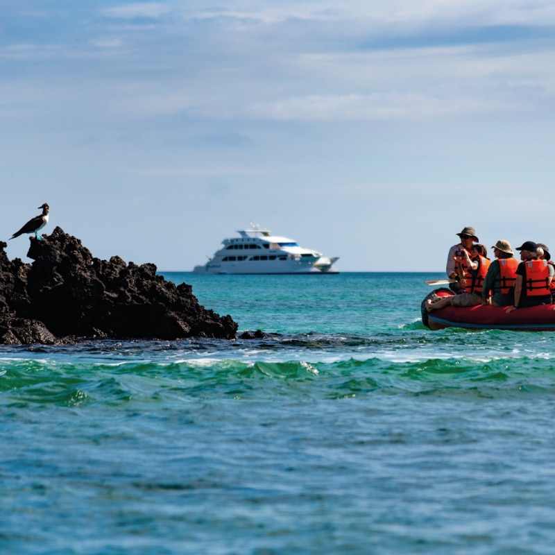 galapagos cruises ecogalaxy by ecuador birds tours (3)