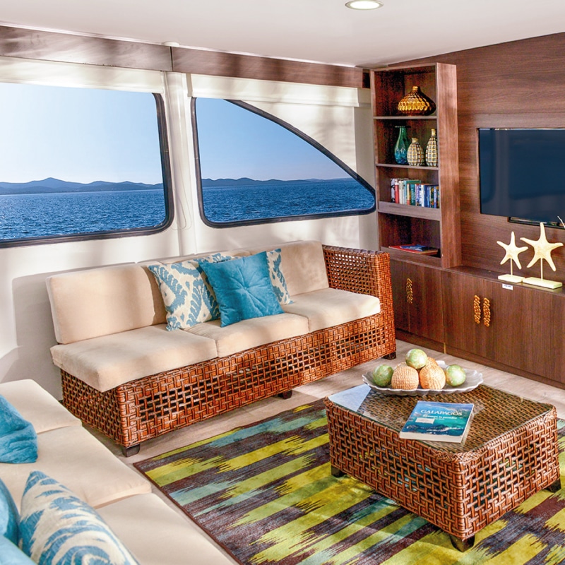 galapagos cruises ecogalaxy by ecuador birds tours (7)