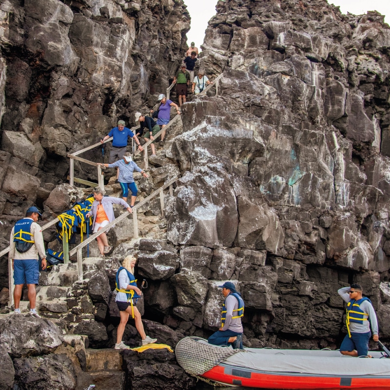 galapagos cruises ecogalaxy by ecuador birds tours (9)