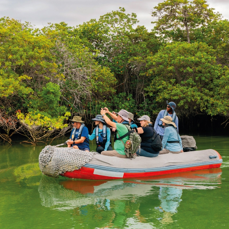galapagos cruises galaxy yatch by ecuador birds tours (7)