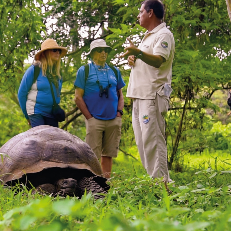 galapagos cruises galaxy yatch by ecuador birds tours (9)