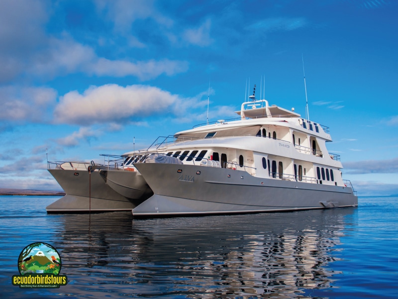 galapagos main photo by birding tours in ecuador (4)