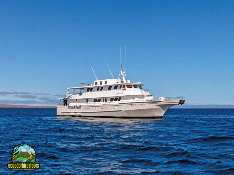 galapagos main photo by birding tours in ecuador (6)