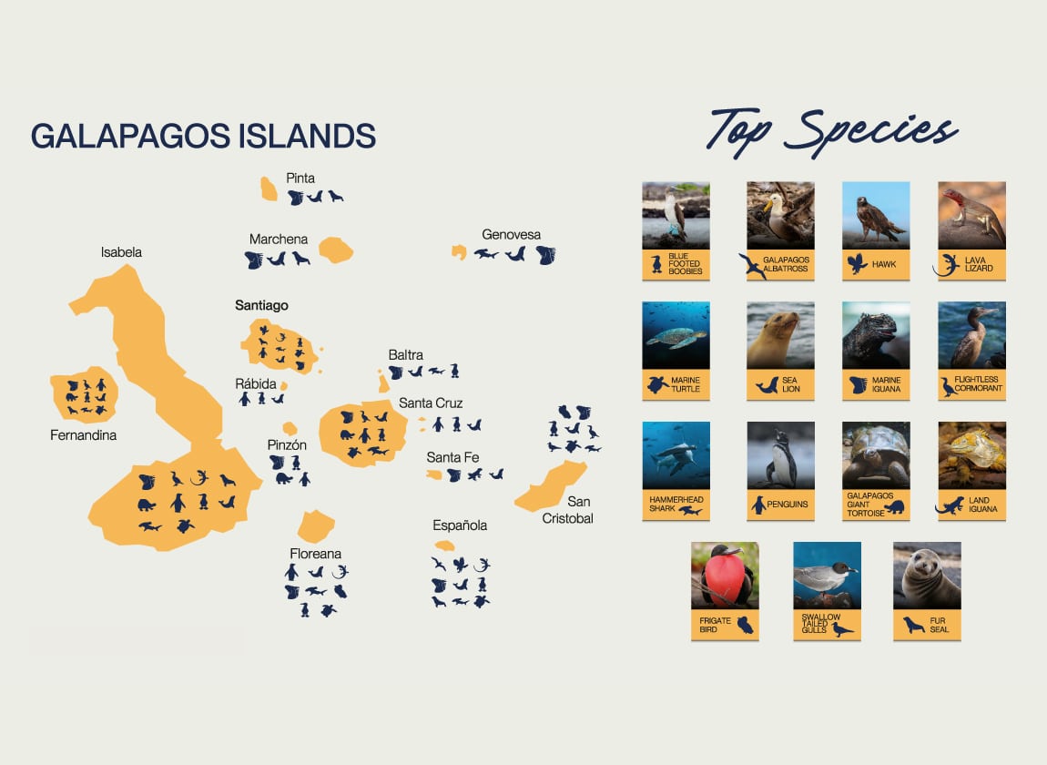galapagos species map