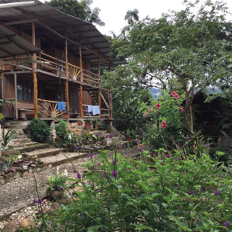 southern birding lodges in ecuador (3)