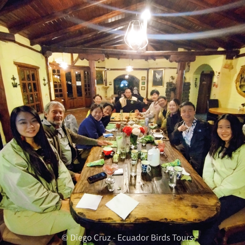 southern birding tours in ecuador by ecuador birds tours (1)