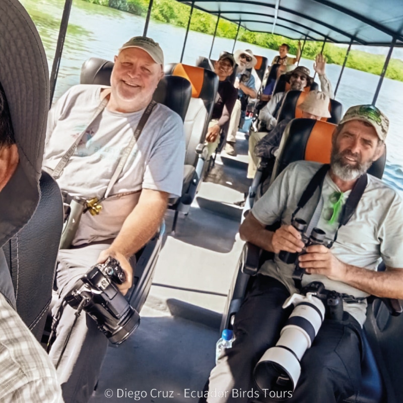 southern birding tours in ecuador by ecuador birds tours (6)